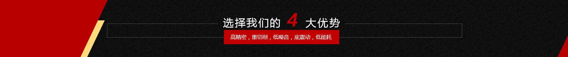 选择我们的优势